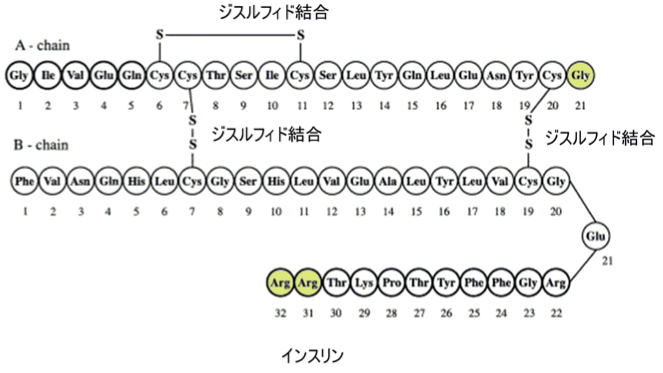 解説画像